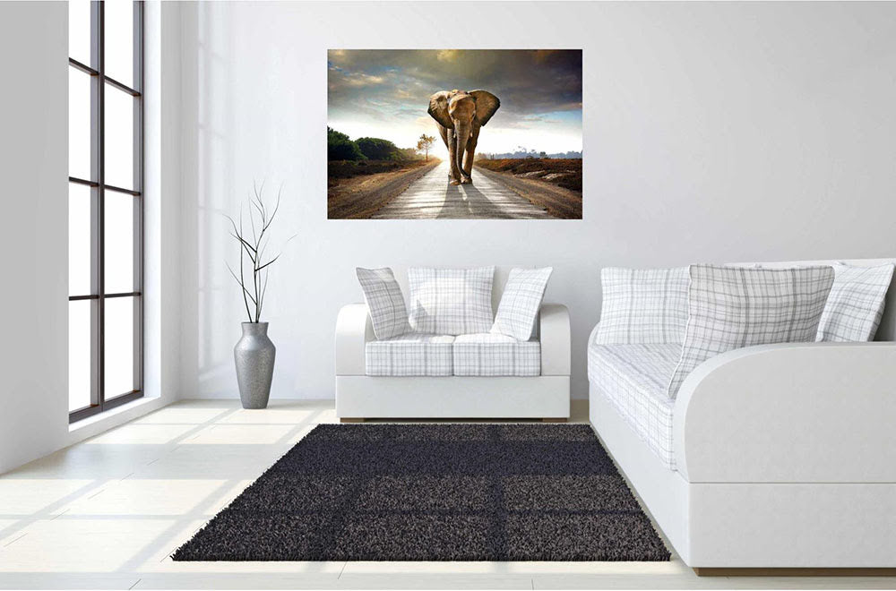 Temp Glass with Foil - Elephant Journey