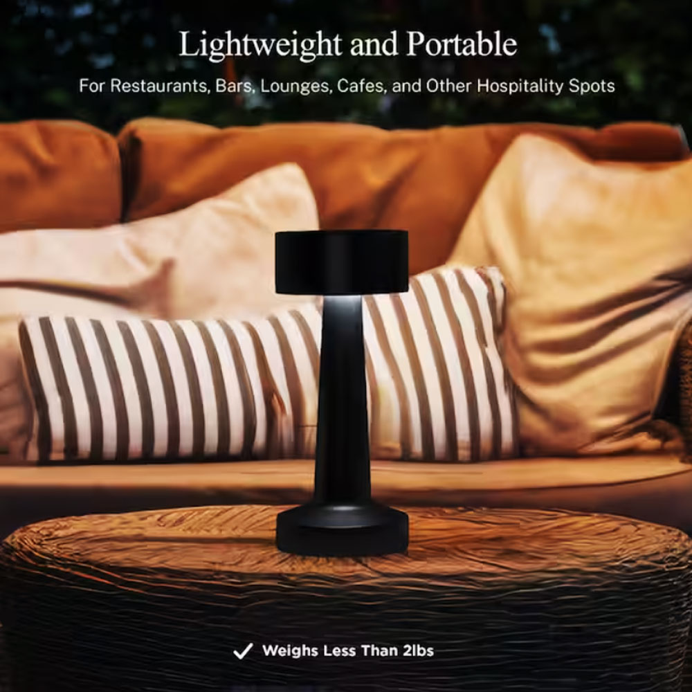 The Chelsea 8.4" Touch Control Rechargeable Lamp