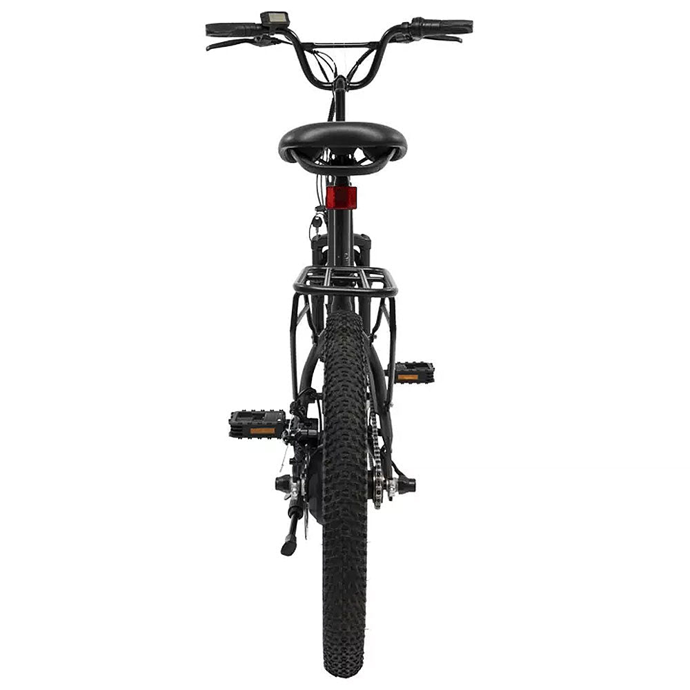 25mi Max Operating Range & 20 mph Max Speed R.X E-Bike