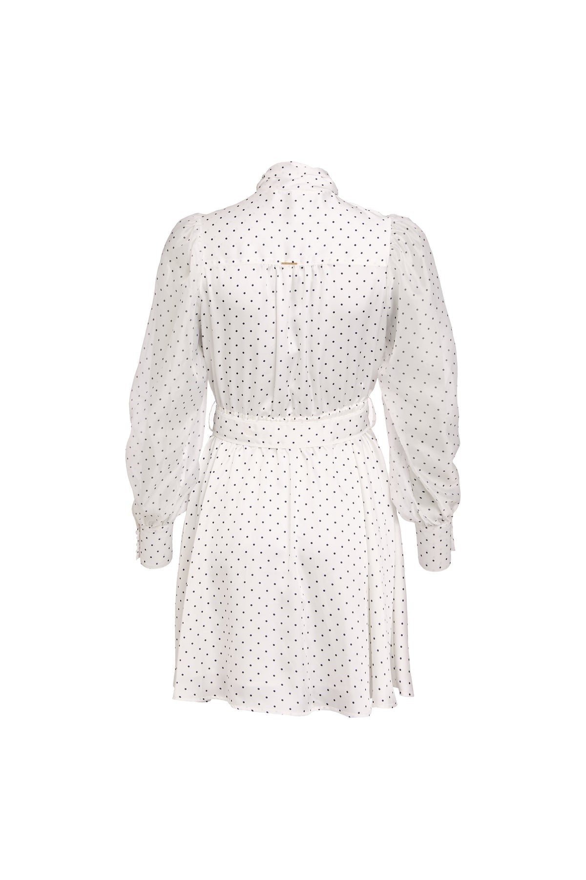 Ariella Mini Dress (White Polka Dot)