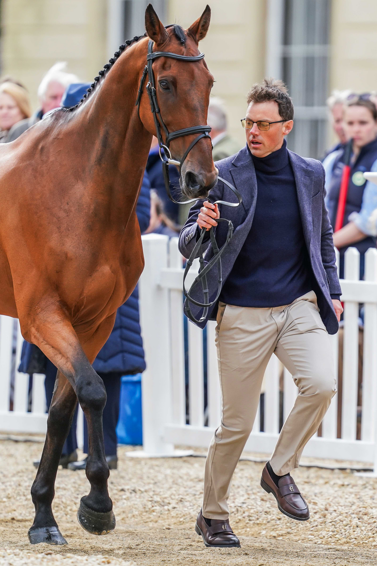 Sam Watson's Badminton Trot Up 2 Navy Duke Look