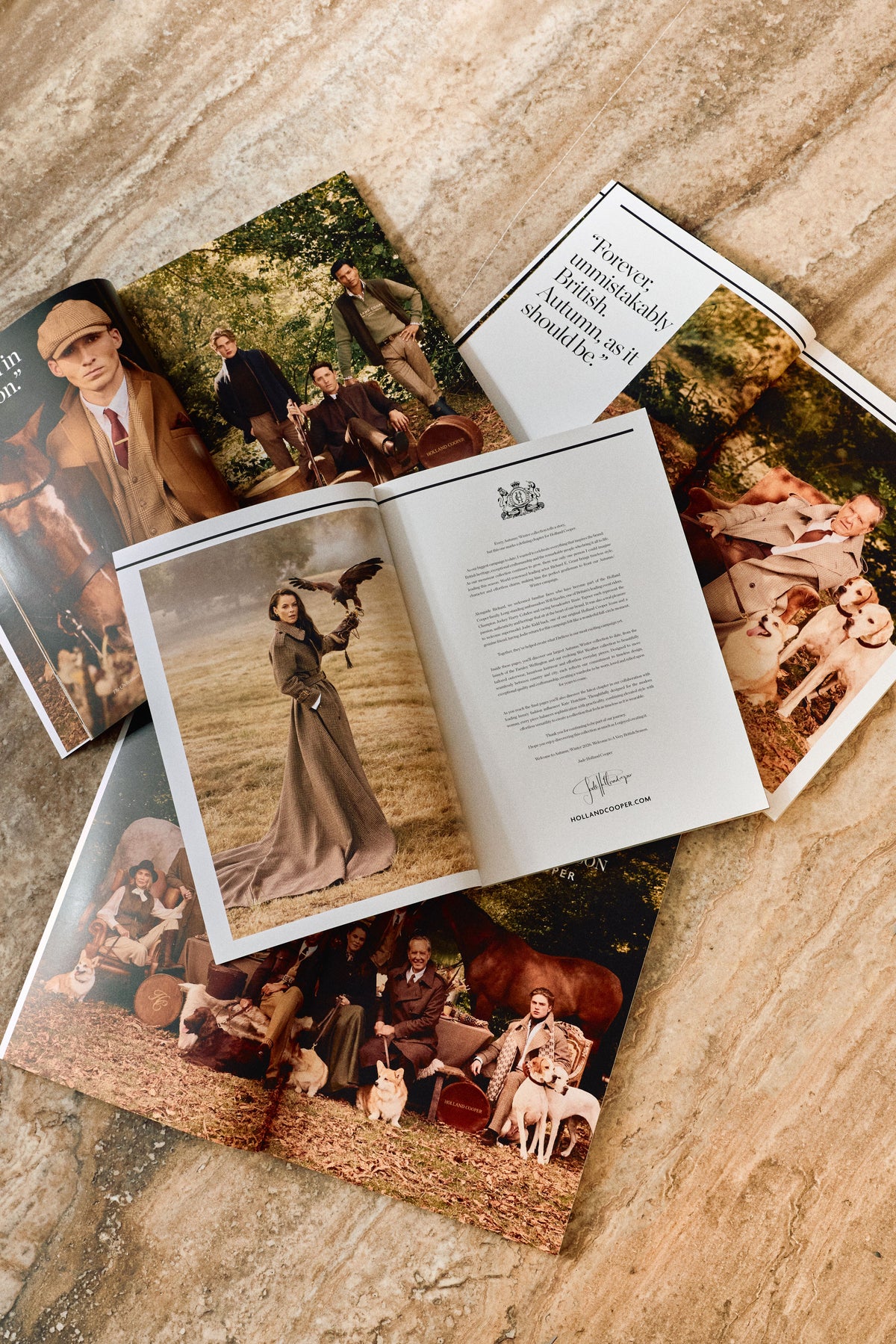 The Brand Book