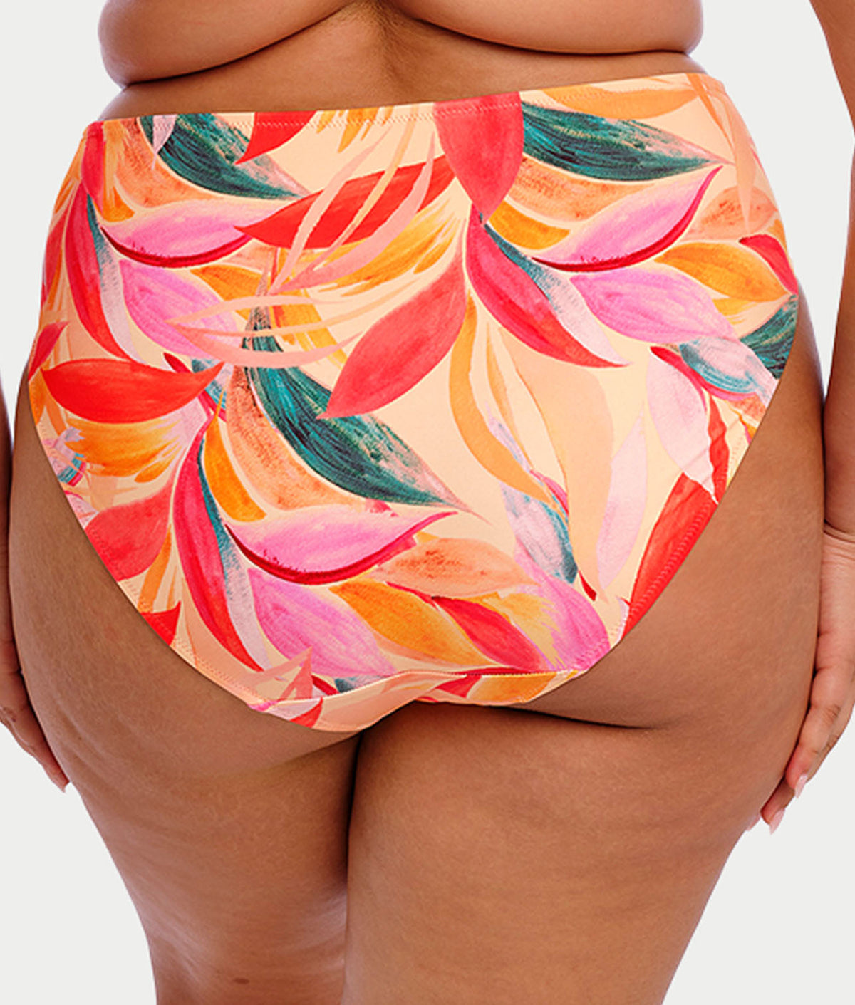 Plus Size Sancho Beach Mid Rise Bikini Bottom