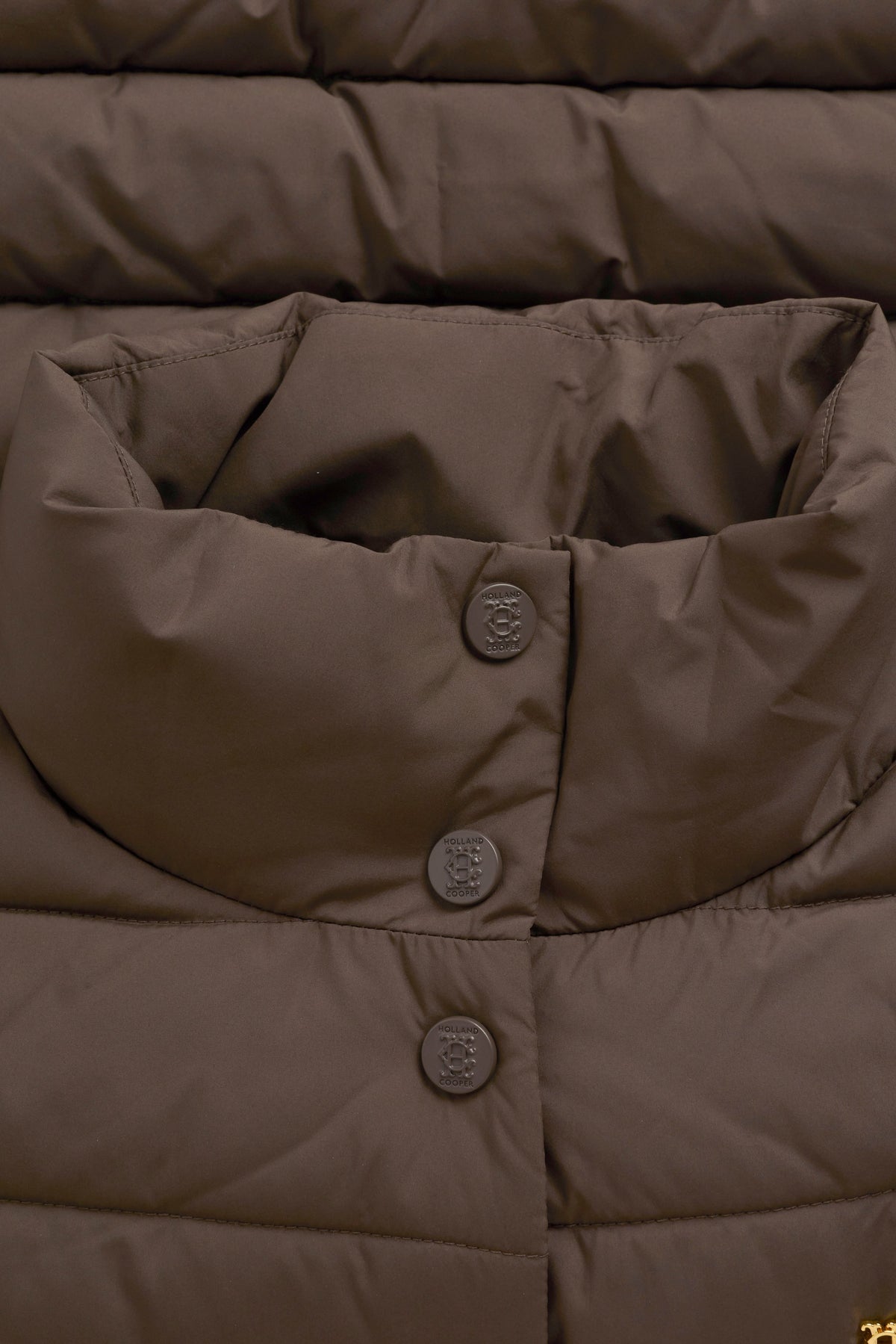 Ferncroft Padded Gilet (Olive Brown)