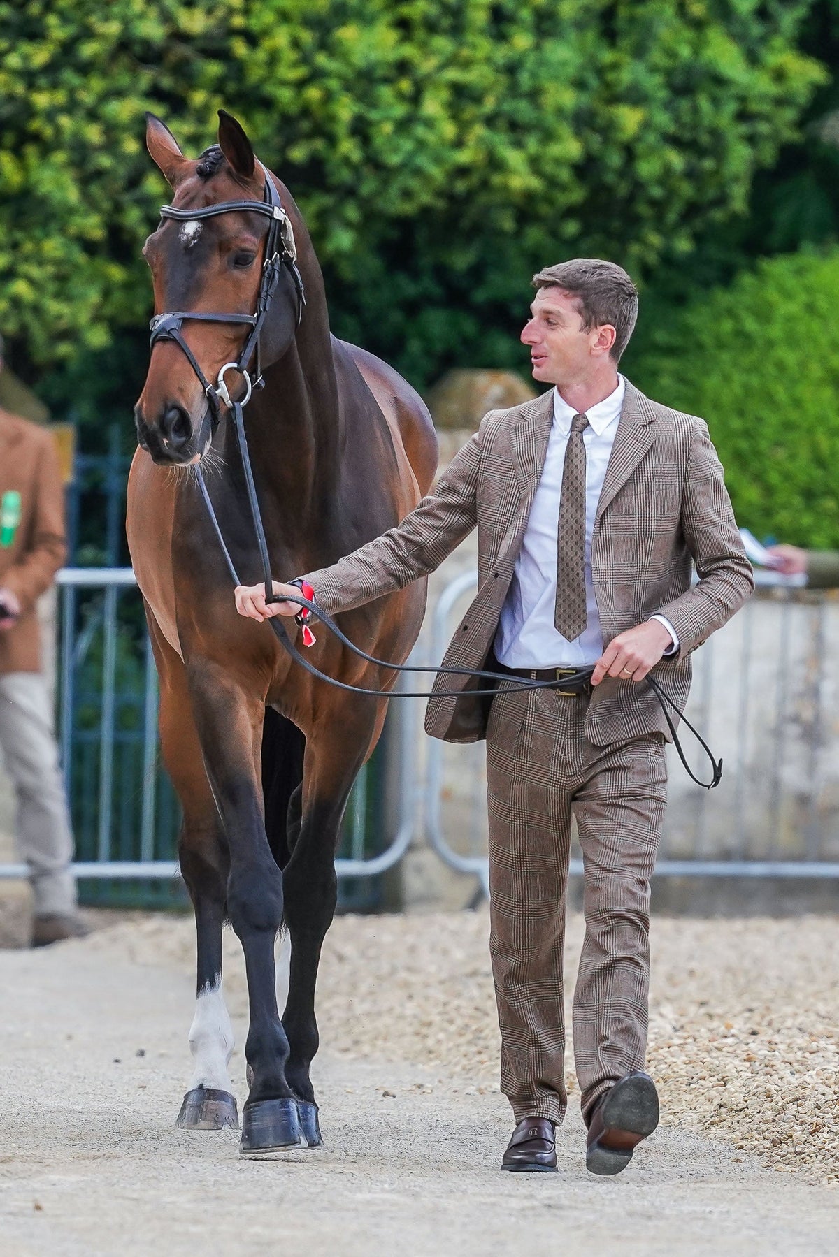 Tom Jackson's Badminton Trot Up 1 Clarence Check Forest Look