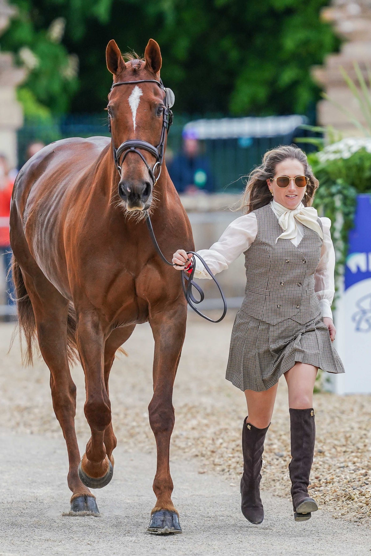 Laura Collett’s Badminton Trot Up 1 Westminster Tweed Look