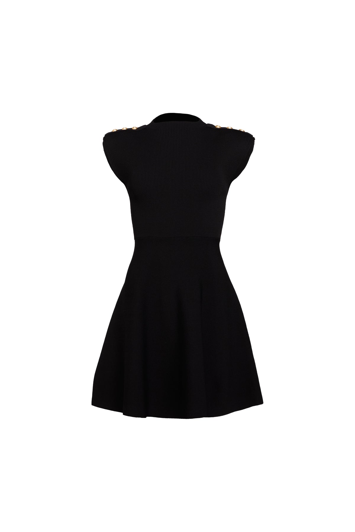 Harley Sleeveless Fit and Flare Dress (Black)