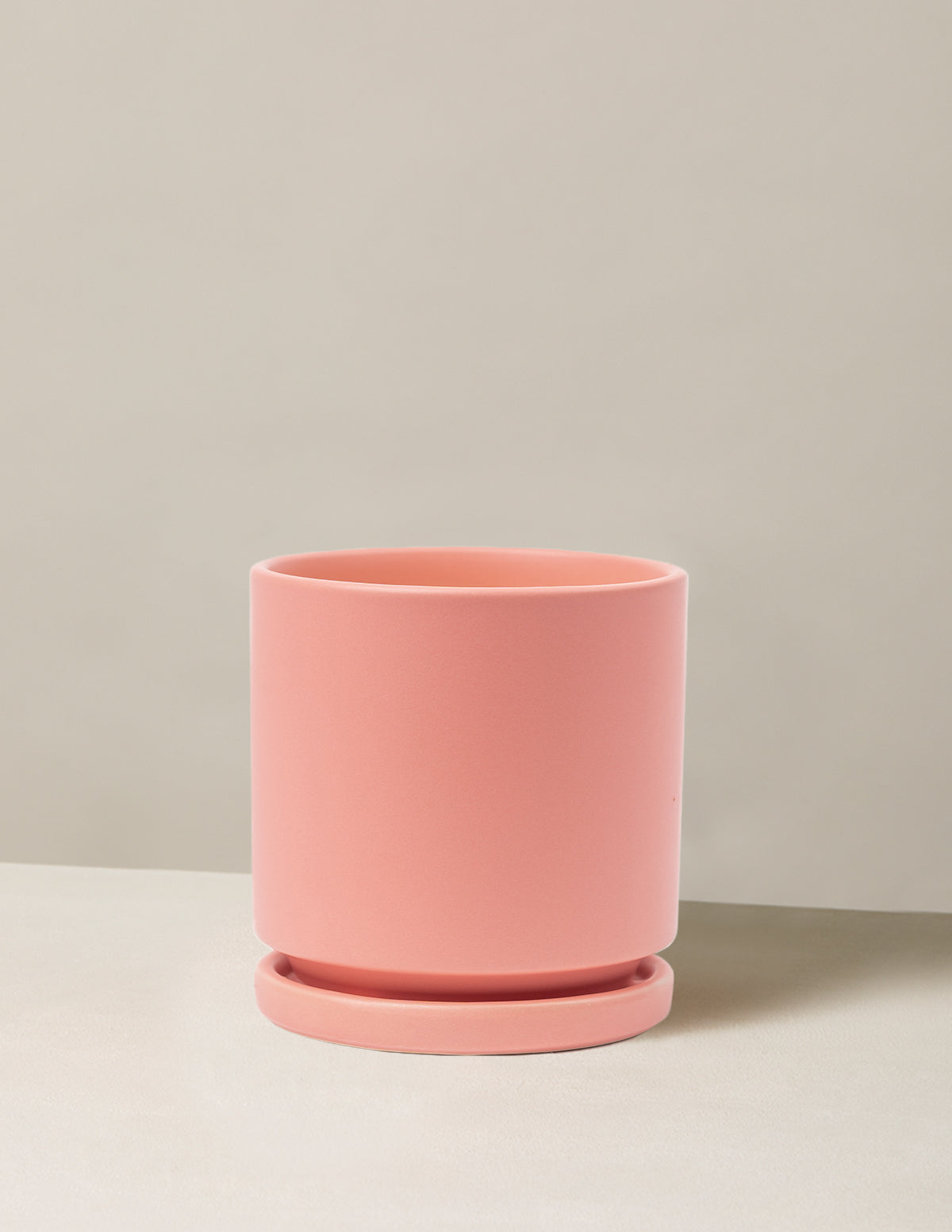 Isabella Ceramic Planter