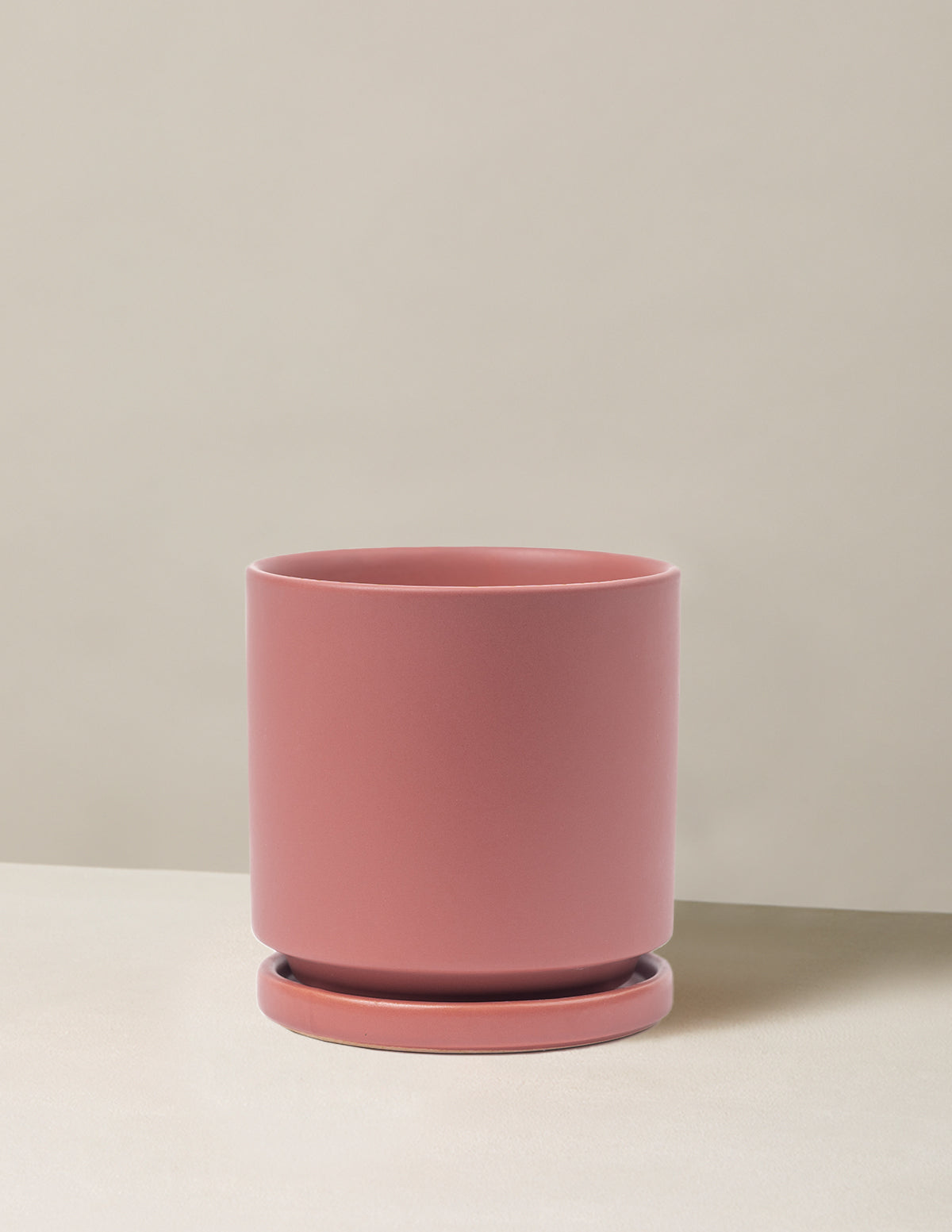 Isabella Ceramic Planter