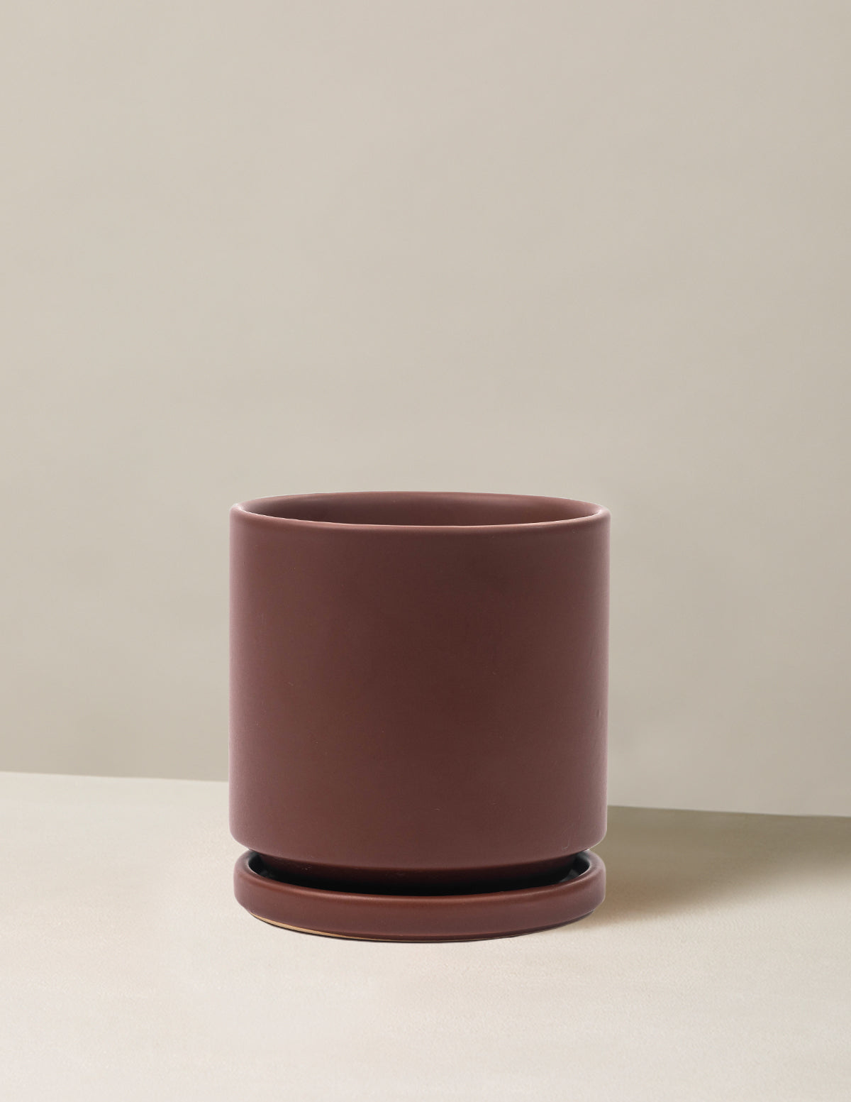 Isabella Ceramic Planter