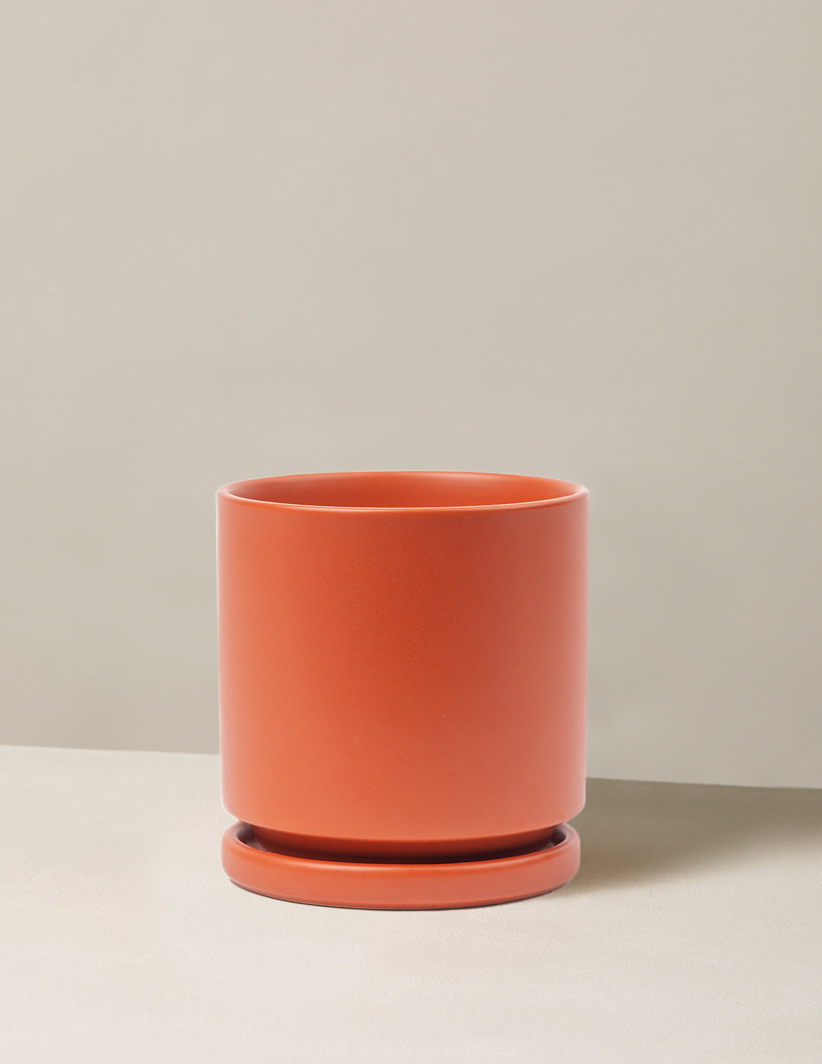 Isabella Ceramic Planter