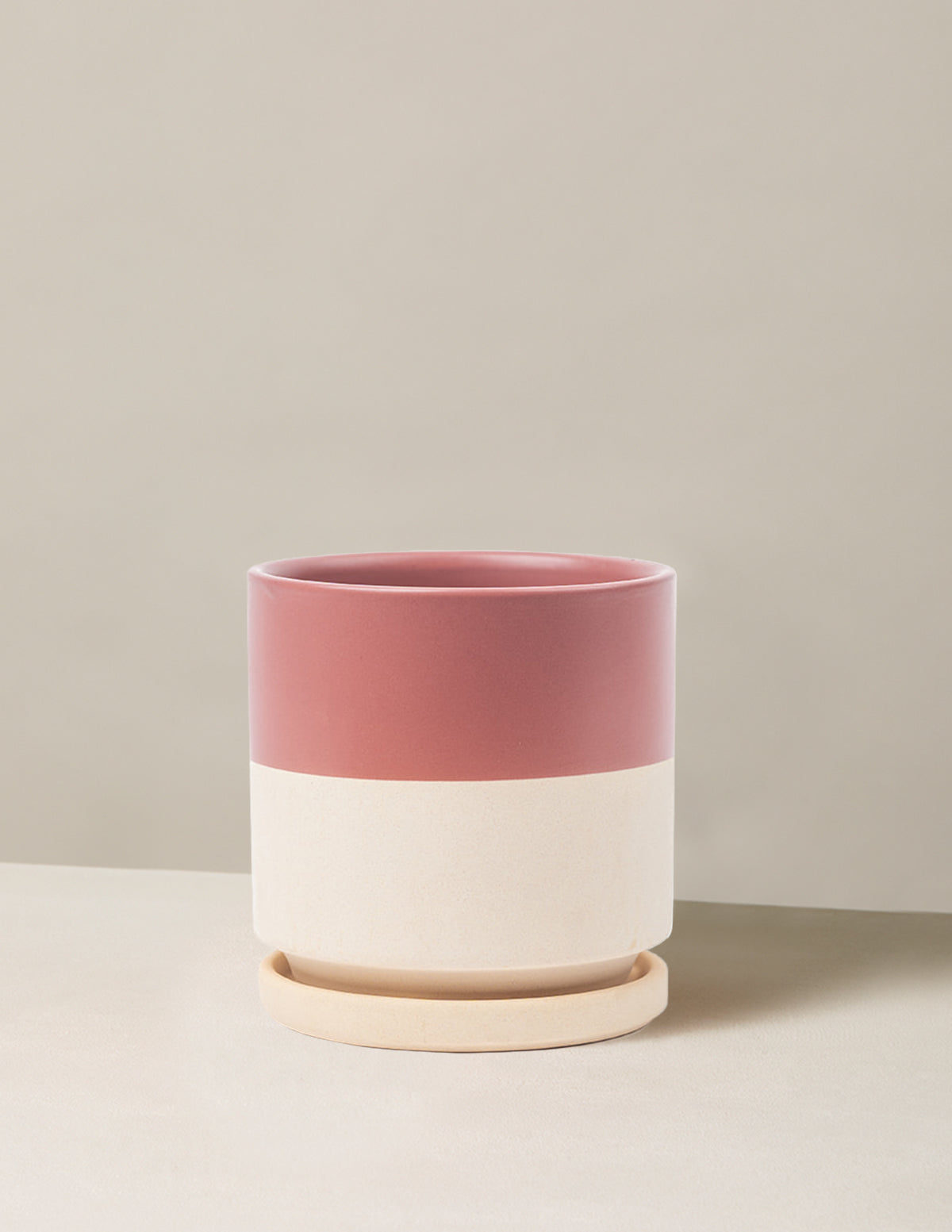 Isabella Ceramic Planter
