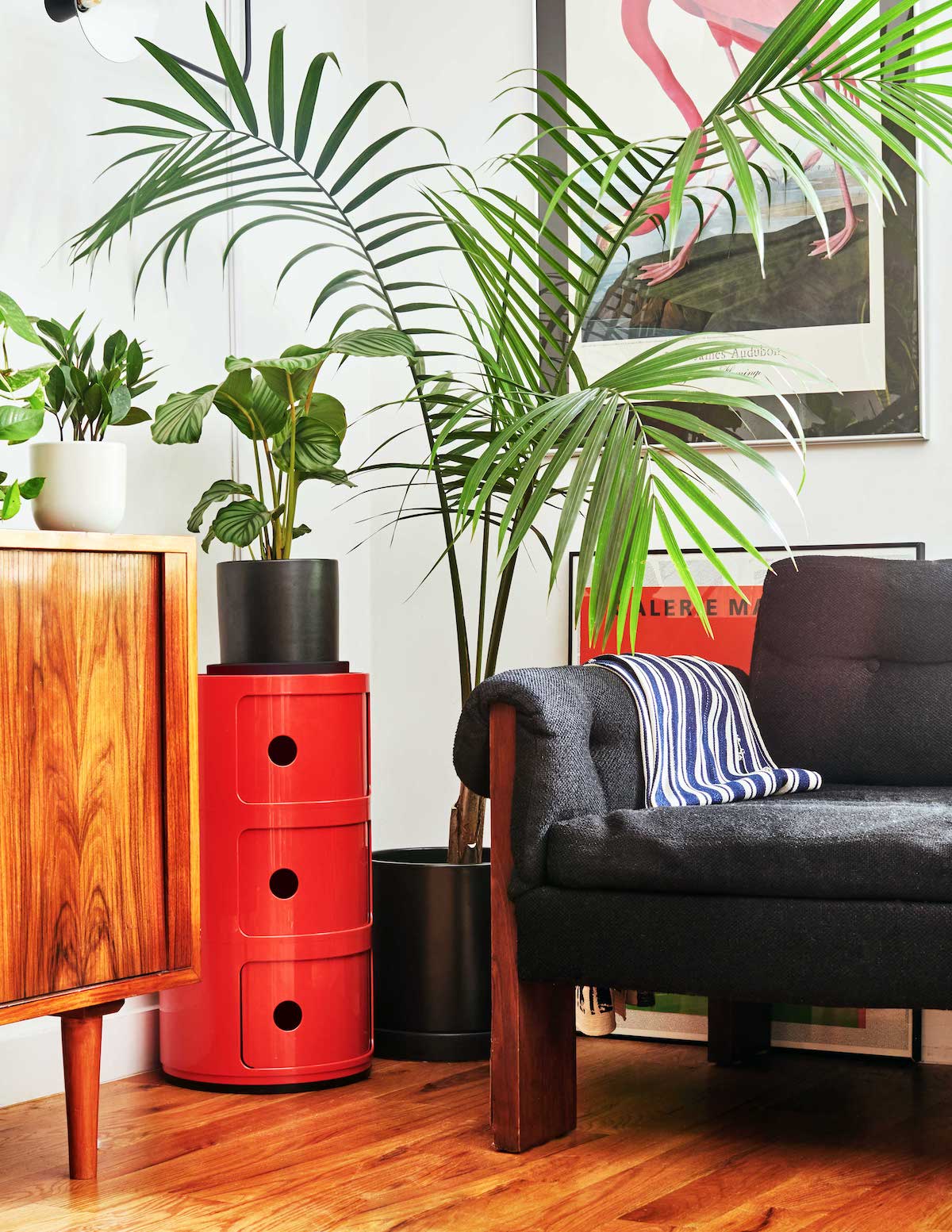 The Palm Bundle