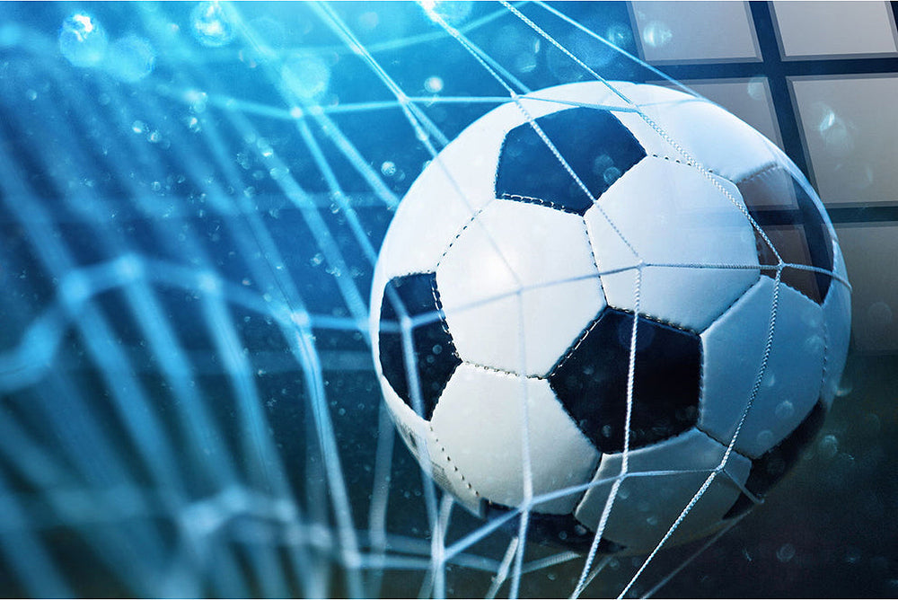 Netted Victory Wall Art