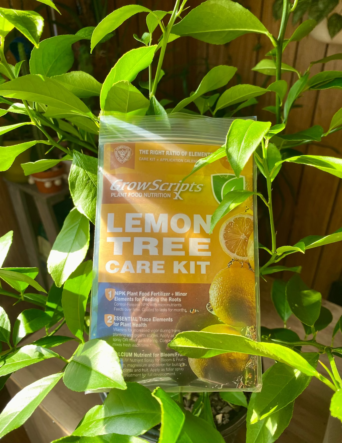 GrowScripts Lemon Tree Care Kit