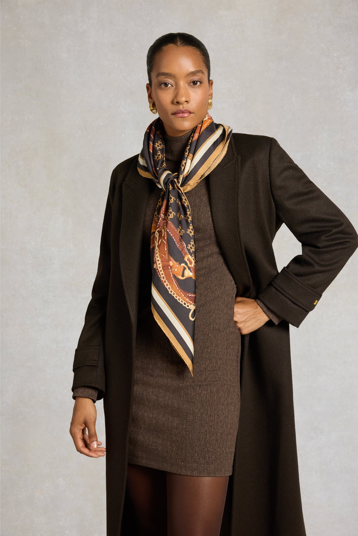 Silk Scarf (Chocolate Monogram)