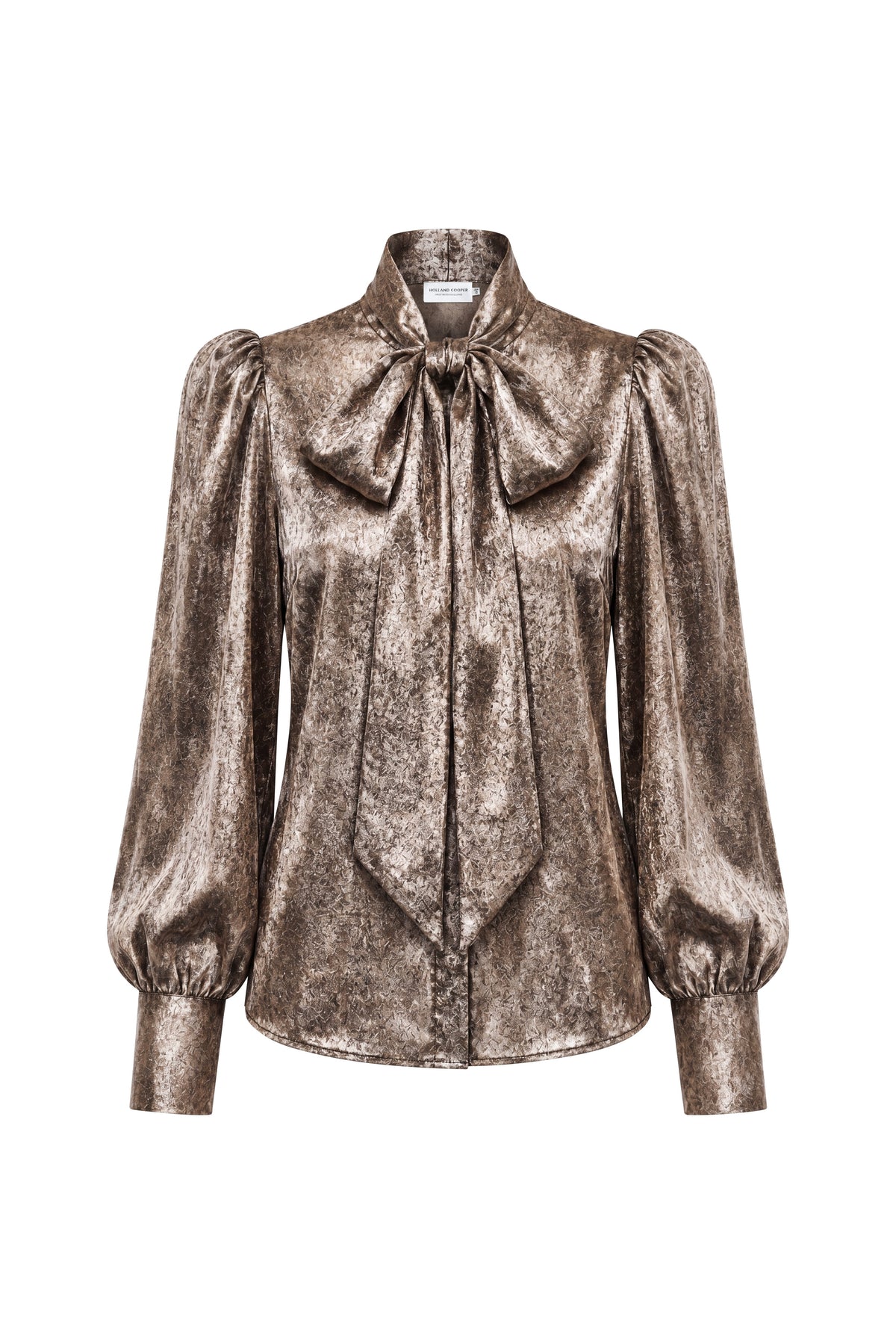 Ariella Sparkle Blouse (Champagne)