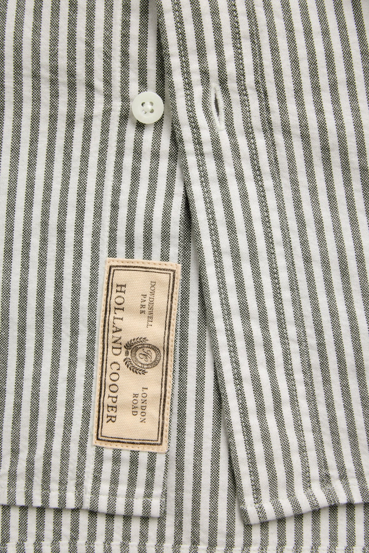 Men's Oxford Shirt (Olive Stripe)