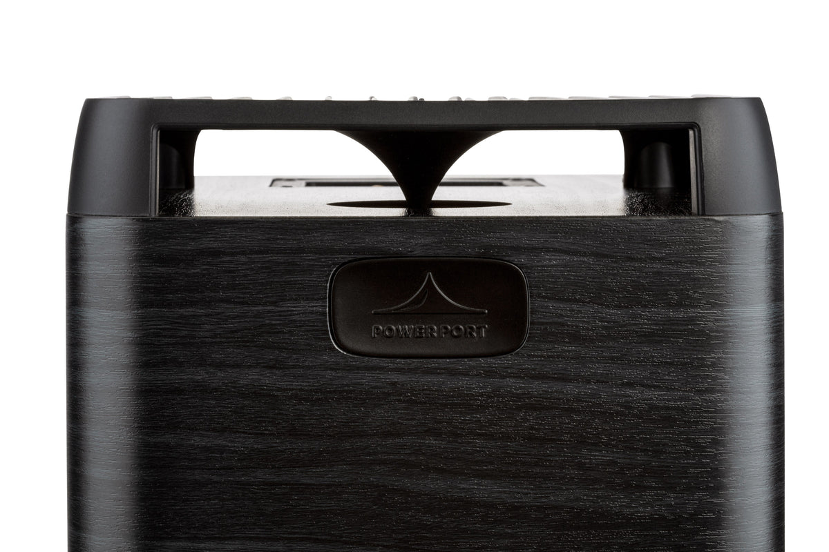 Signature Elite ES20 High-Resolution Bookshelf Loudspeakers