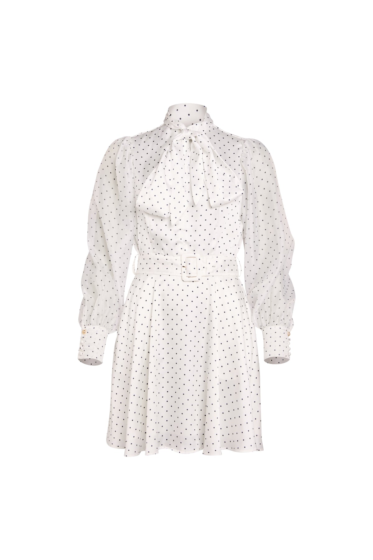 Ariella Mini Dress (White Polka Dot)