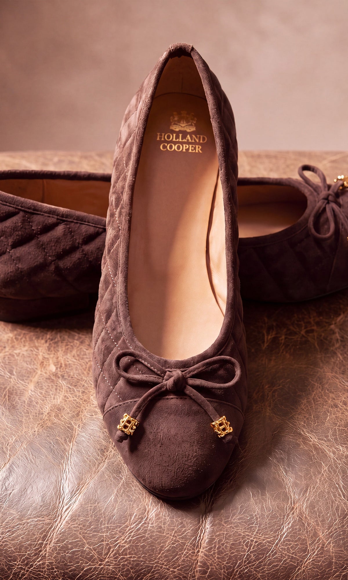 Ballet Shoe (Bournville Suede)