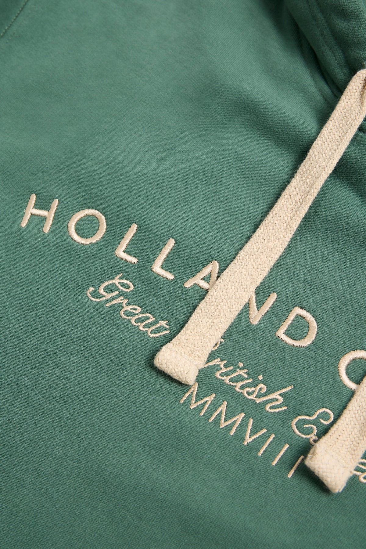 Men's Classic Fit Hoodie (Washed Sage)