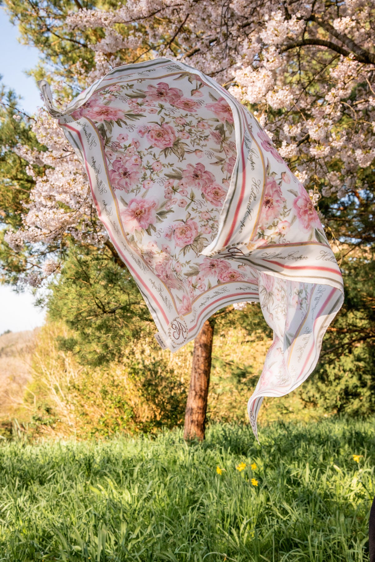 Silk Scarf (English Rose)
