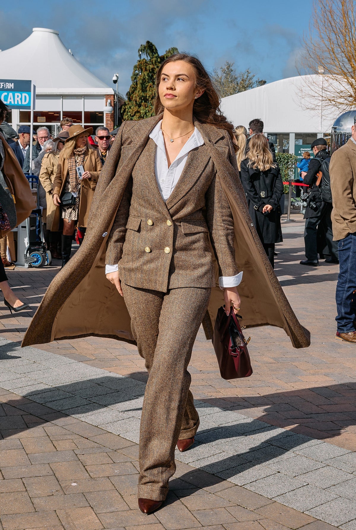 Isobel Lorna's Cheltenham Look (Large Scale Brown Herringbone)