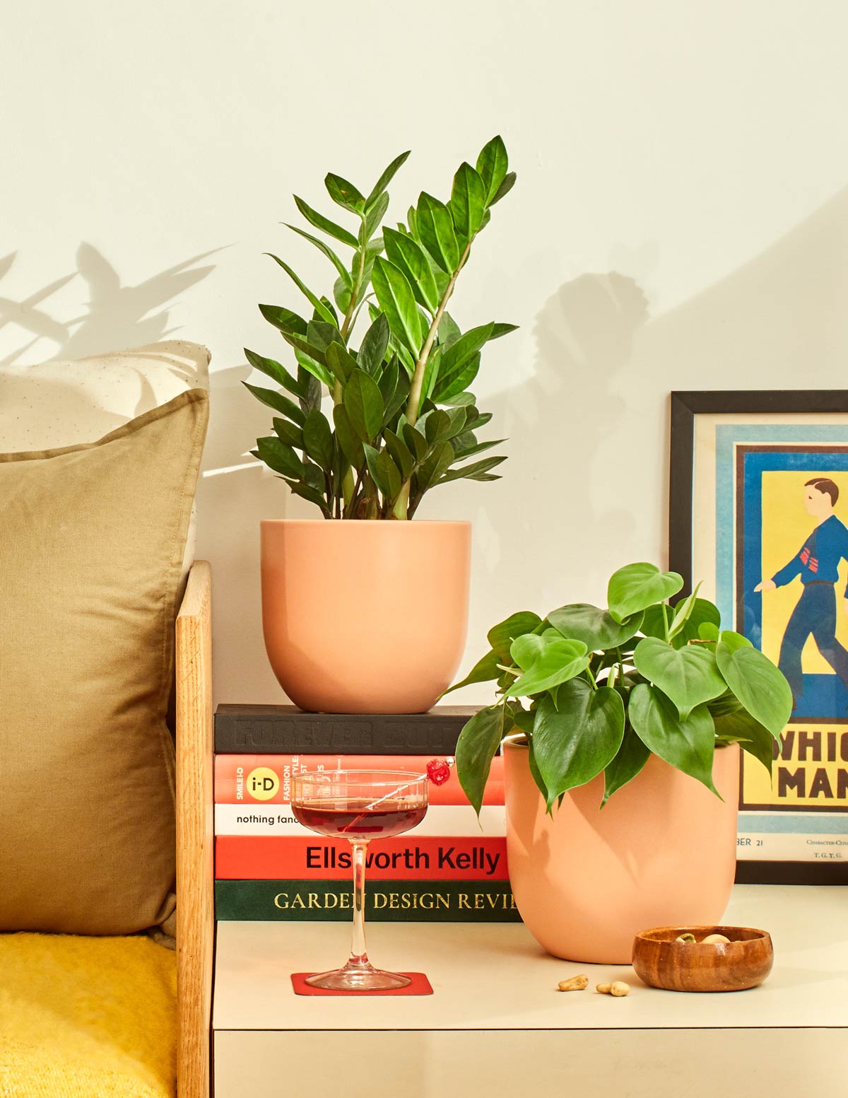 Starter Plant Party Pack