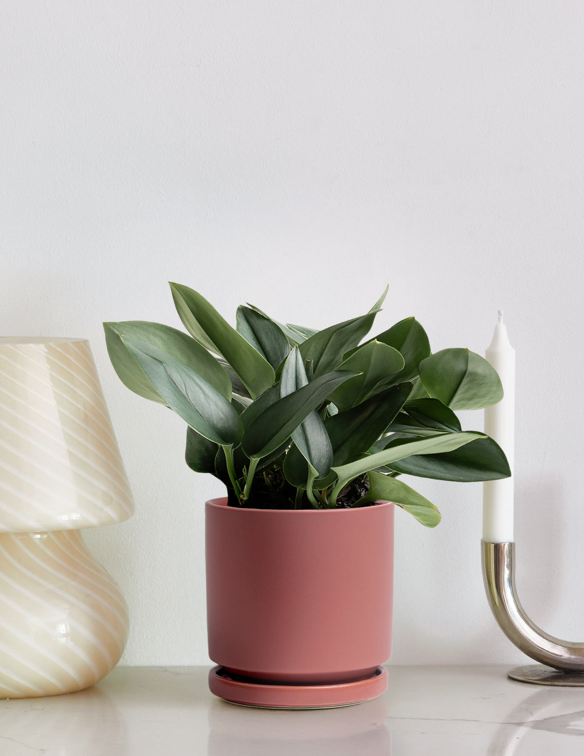 Pothos Sterling Silver