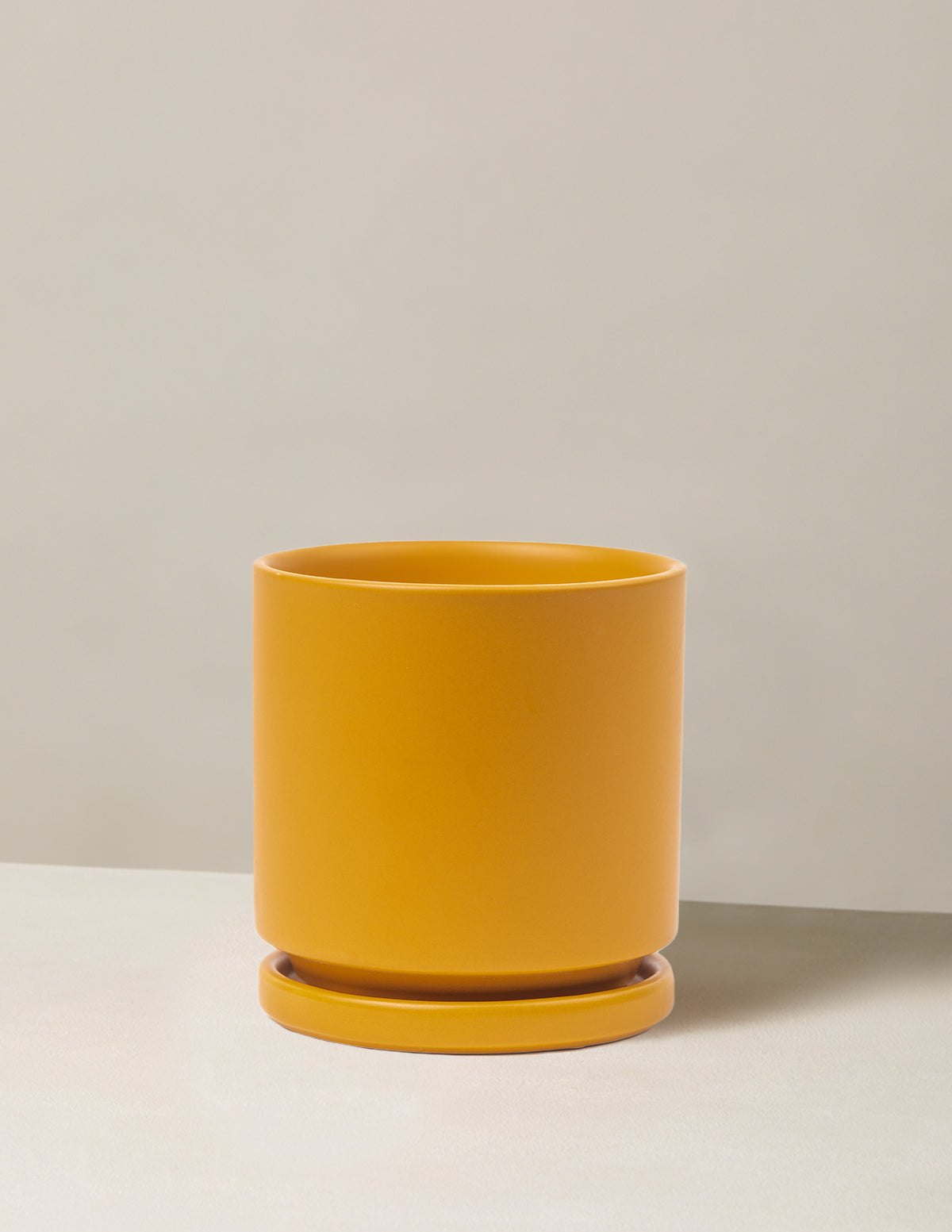 Isabella Ceramic Planter