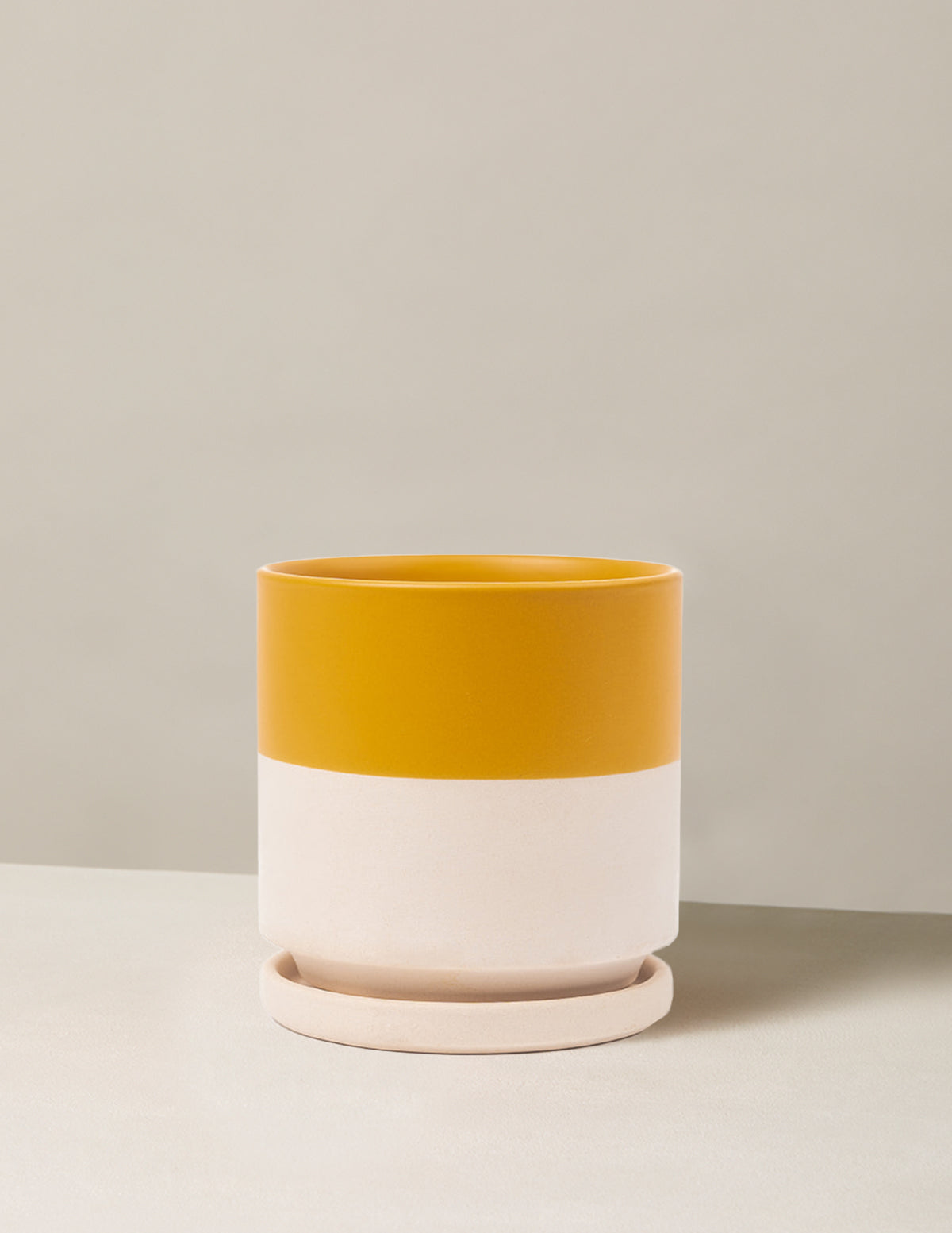 Isabella Ceramic Planter