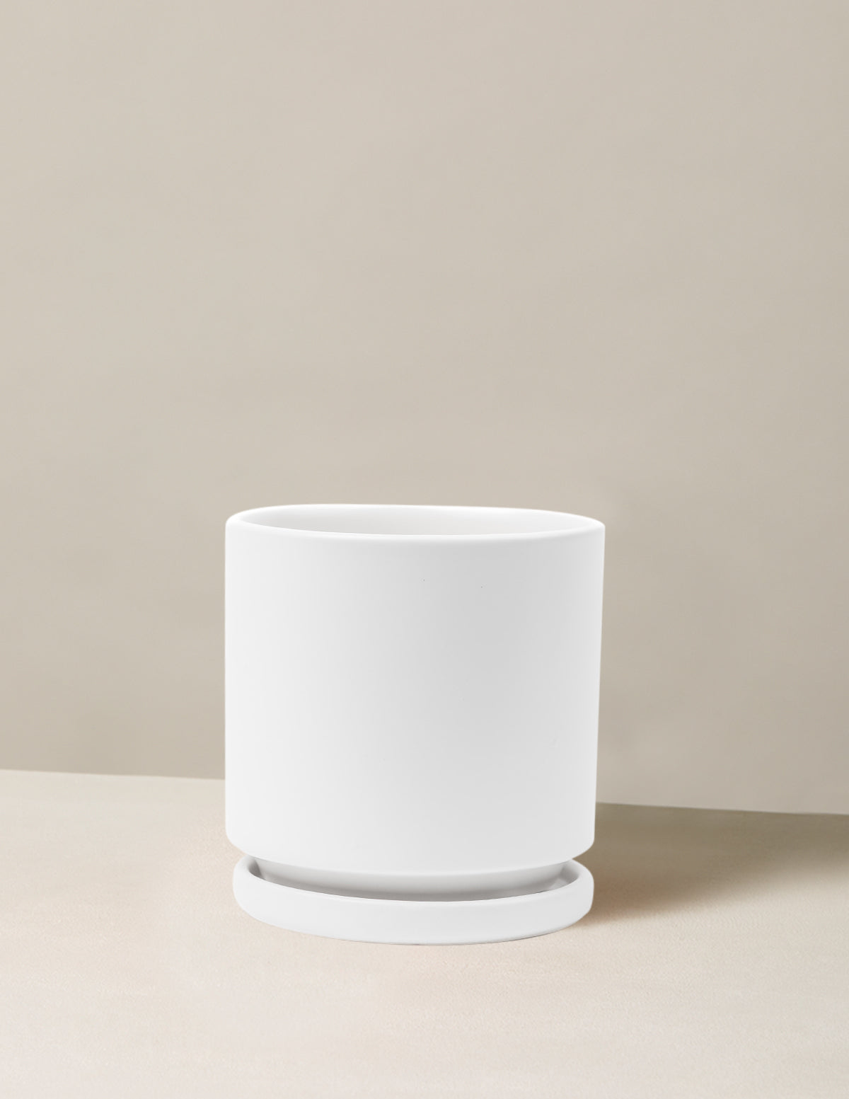 Isabella Ceramic Planter