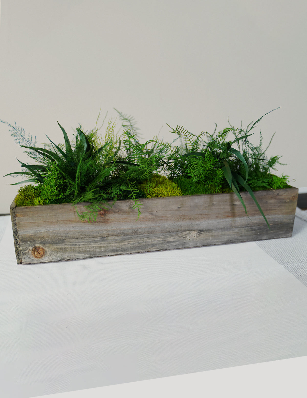 Preserved Moss & Fern Box
