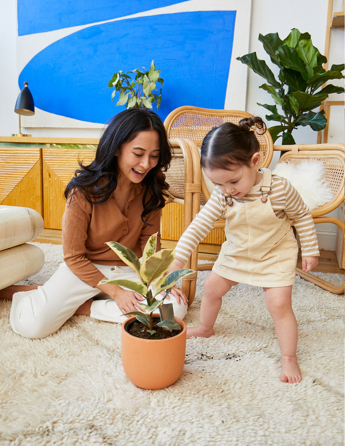 Fun Ficus Party Pack