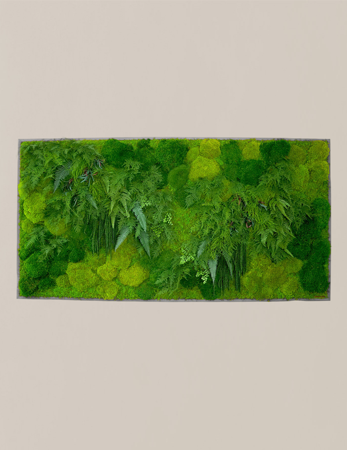 Large Preserved Living Wall