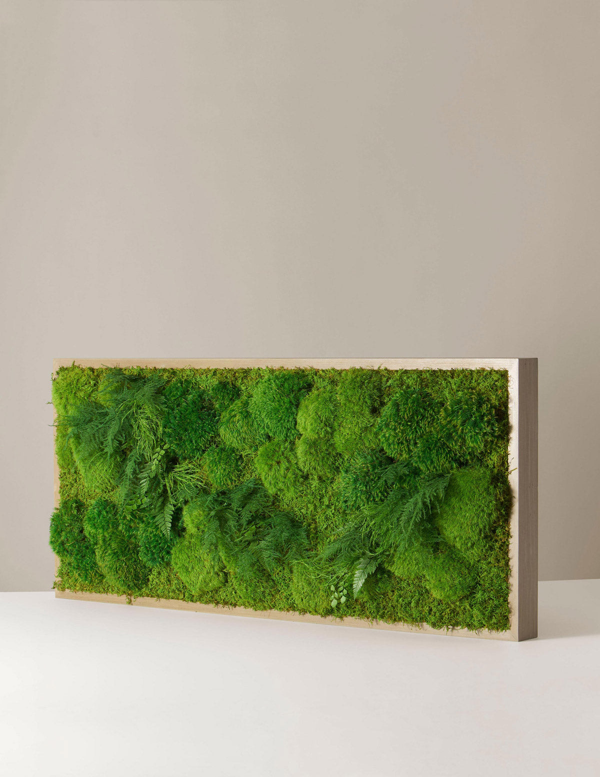 Medium Preserved Living Wall