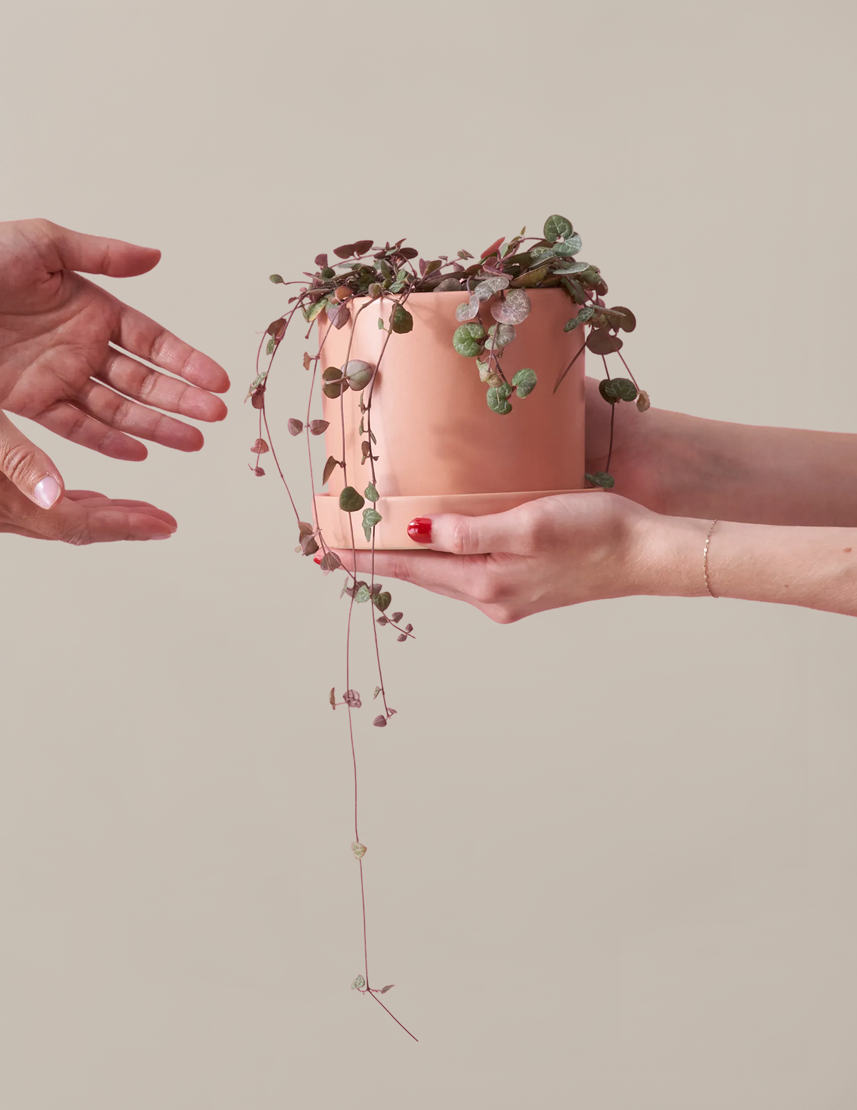 String of Hearts