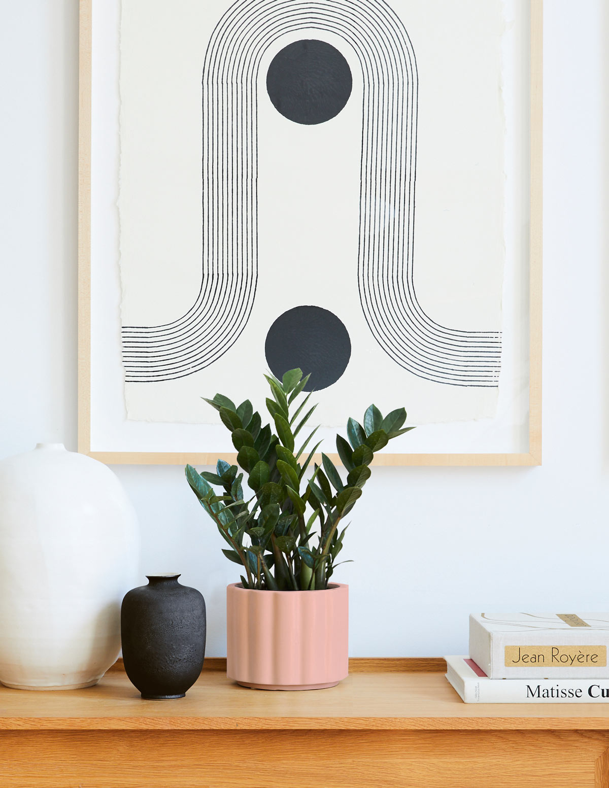 ZZ Plant